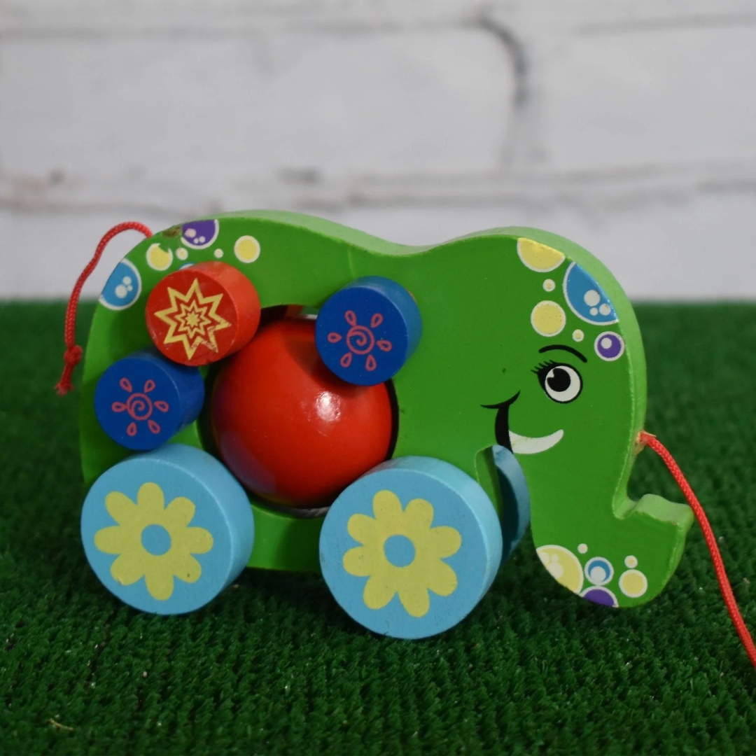 Handcrafted Wooden Pull Along Toy