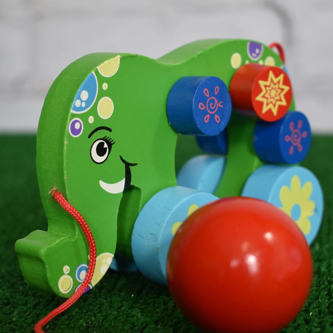 Handcrafted Wooden Pull Along Toy
