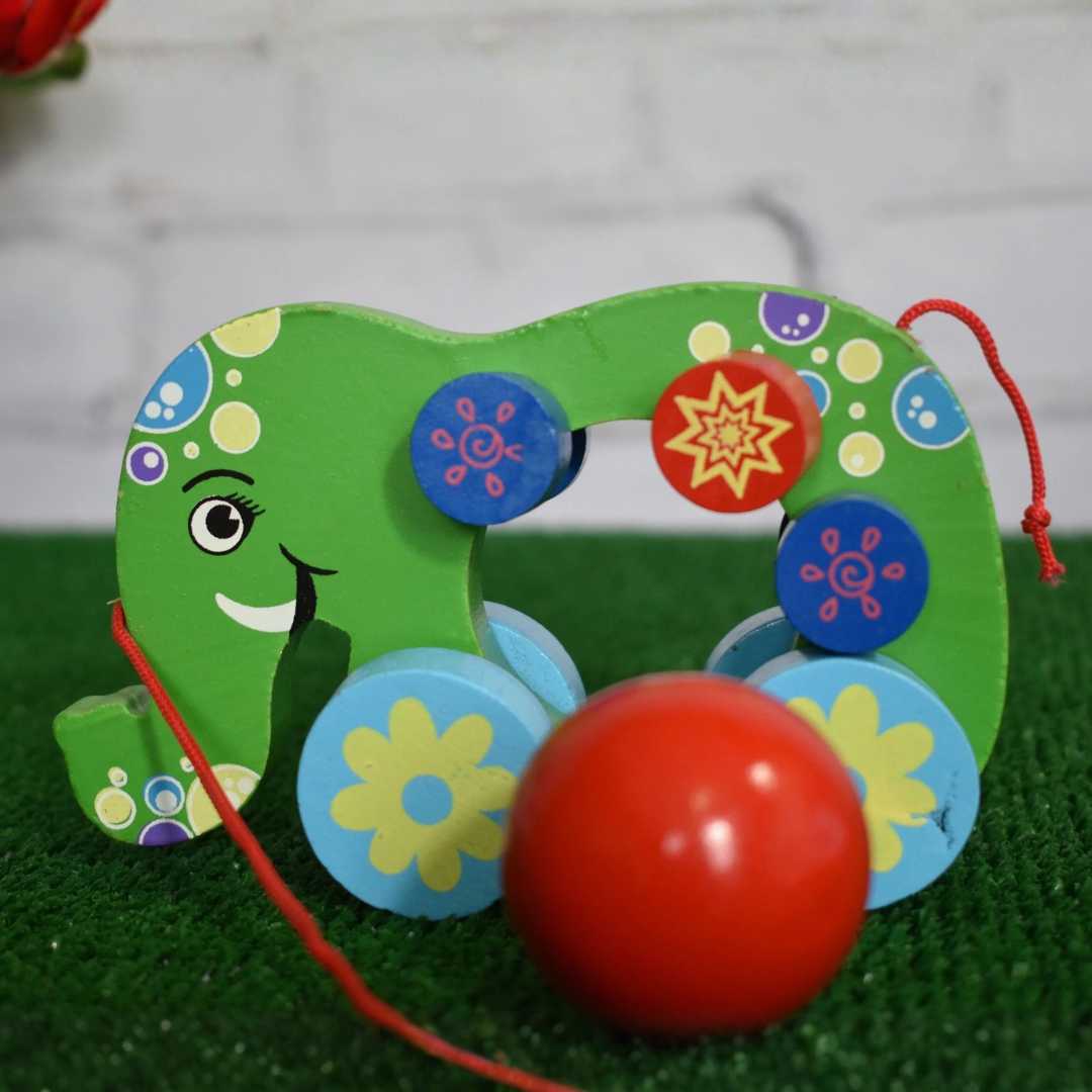 Handcrafted Wooden Pull Along Toy